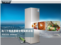 西门子冰箱相关图片