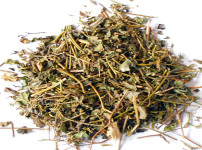 绞股蓝的图片