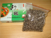 沙棘的图片