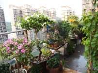 露台防水图片