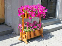 花架图片