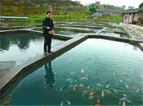 养鱼风水的图片