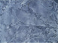 质感涂料图片