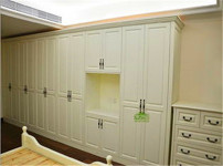 一枝红衣柜图片