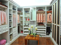 一枝红衣柜图片