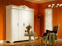 一枝红衣柜图片