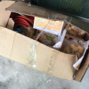 施工图