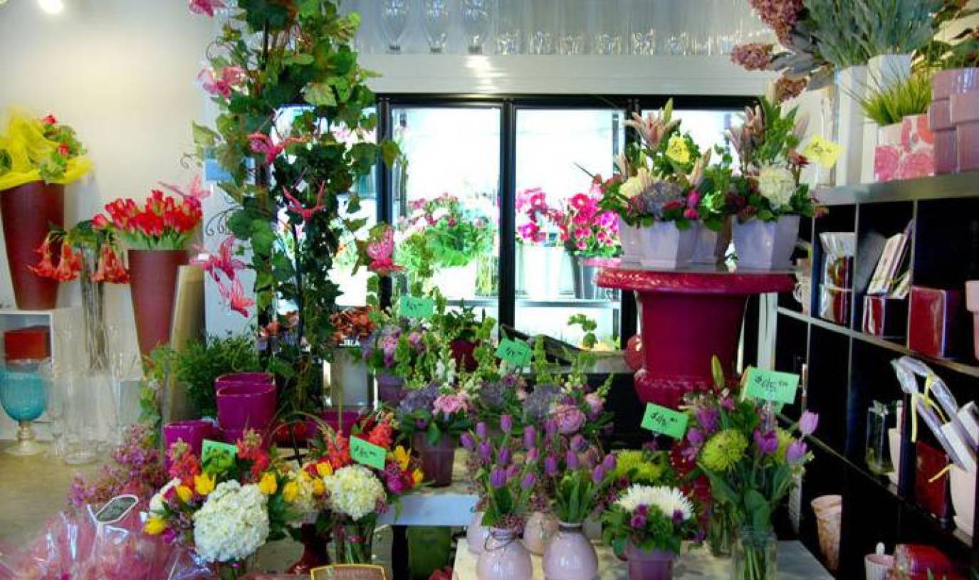 花店常用花材图片名称,花店常用的配草图片,花名大片名称_大山谷图库