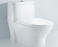 蹲便器改造坐便器注意两大事项