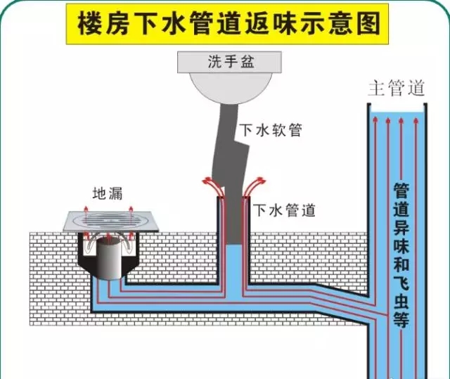 如何去除新房异味？ 厨房卫生间反味怎么办？