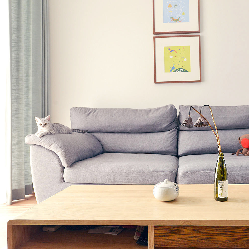 慵懒的沙发是客厅的主角，在整体设计上没有繁杂的造型，只是简单的做了下铺垫。