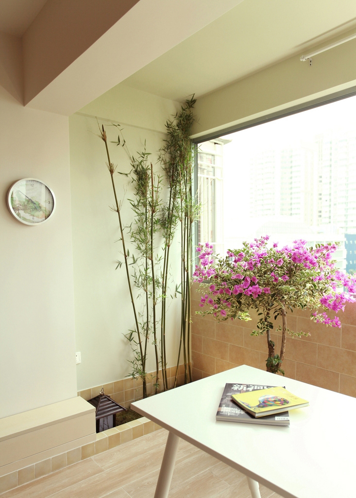 窗台旁边的植物空间，养些花草，算是生活的情调。
