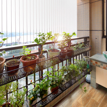 阳台绿植装饰设计