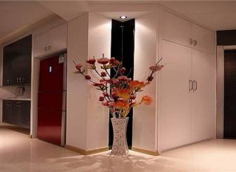 三室两厅现代简约风格过道背景墙装修效果图-现代简约风格壁柜图片
