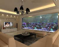 鱼缸摆放风水，这些你一定要知道哦