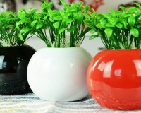 家居风水知识，摆放花瓶带来好运