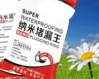 堵漏王是什么？和小编一起来看看吧