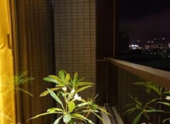 米色简约风格阳台设计